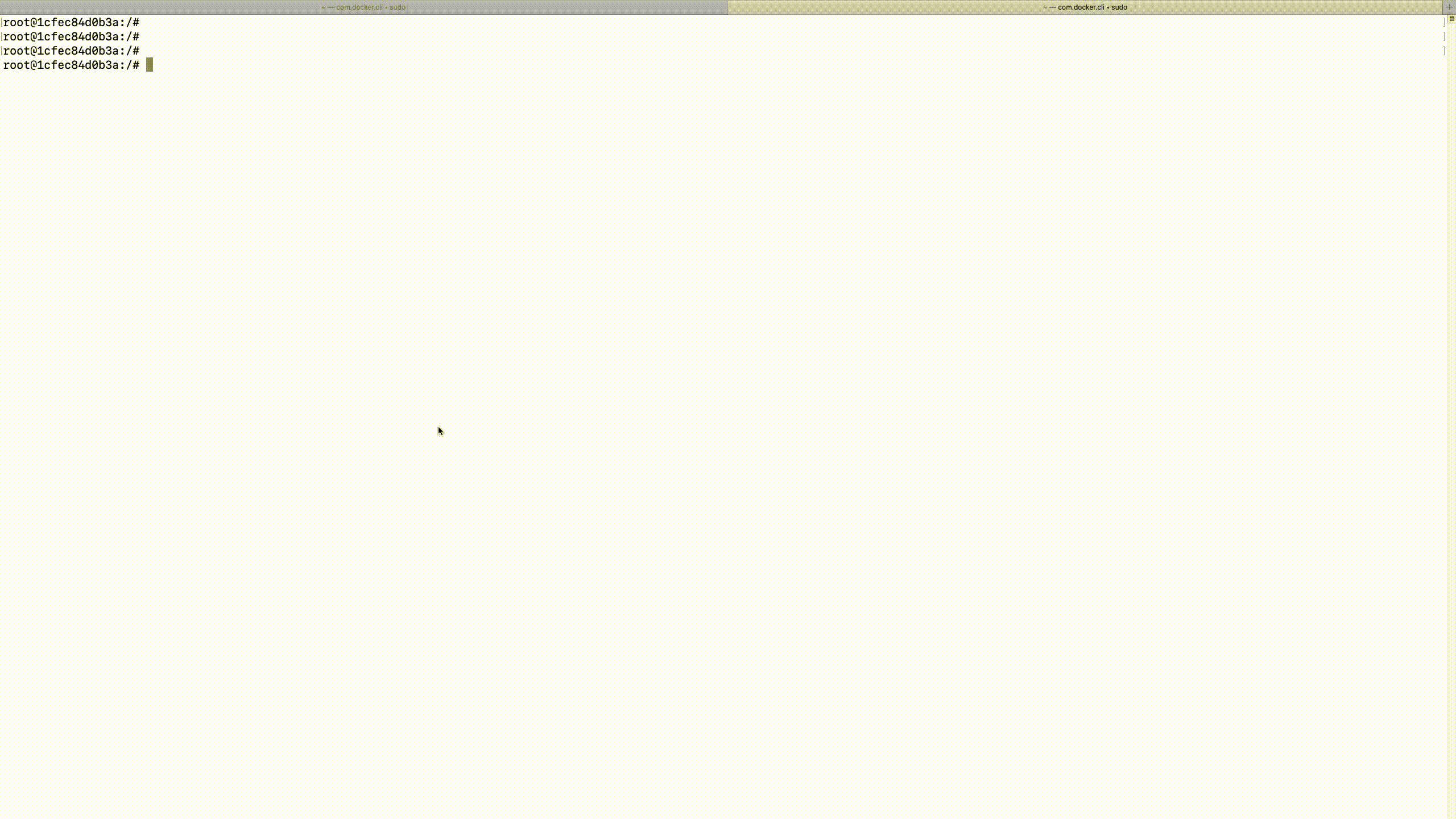 arp.gif
